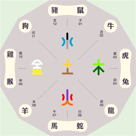 俊五行屬性|俊字五行属什么